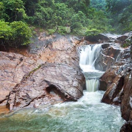 Jeroen'S Jungle View Daire Koh Chang Dış mekan fotoğraf
