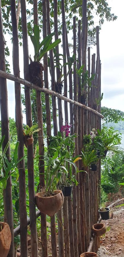 Jeroen'S Jungle View Daire Koh Chang Dış mekan fotoğraf
